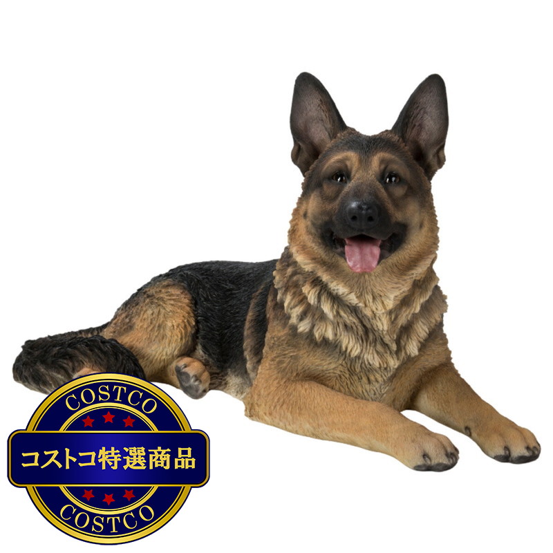 (コストコ) ウービア うつぶせジャーマンシェパードの置物 H21011