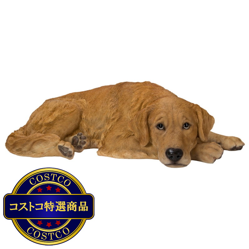 (コストコ) ウービア うつぶせレトリバーの置物 H20537