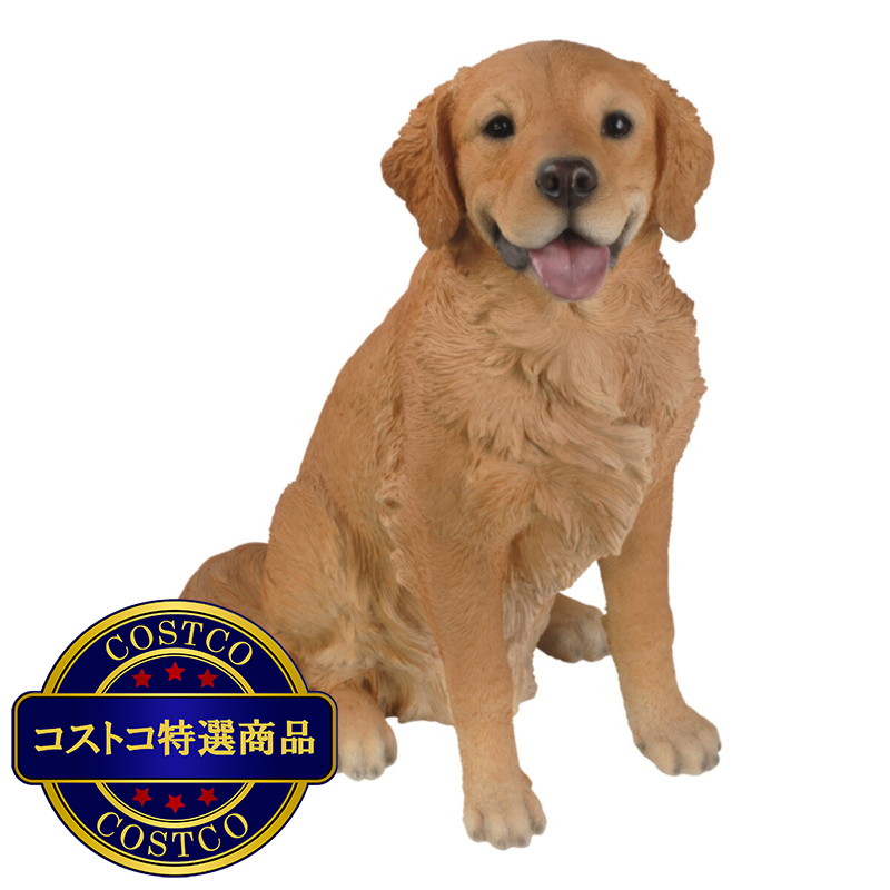 (コストコ) ウービア お座りゴールデンレトリバーの置物 （特大） H13098