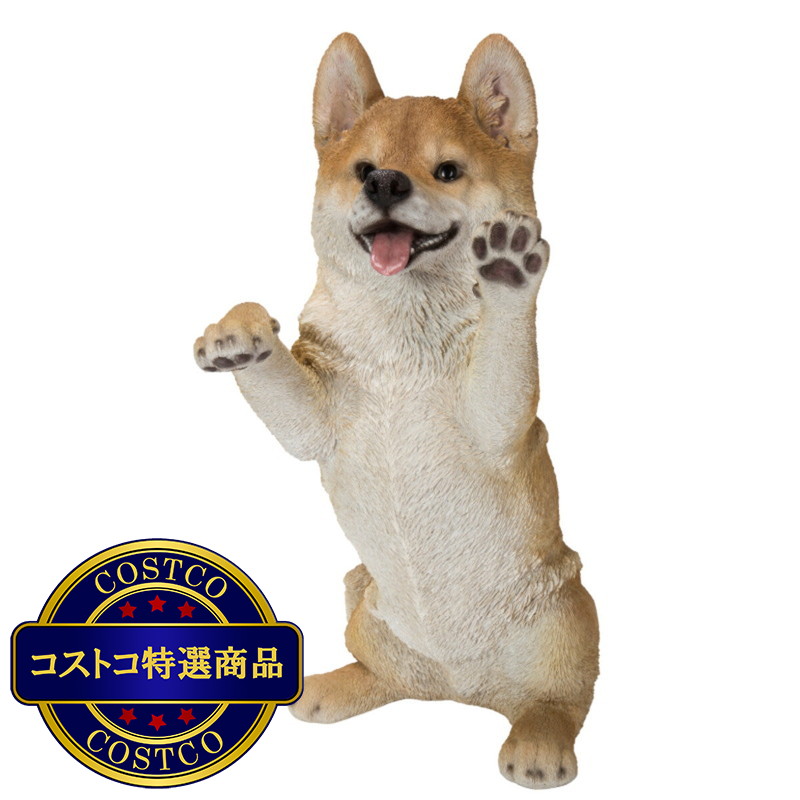 (コストコ) ウービア 手をあげる柴犬の置物H21048