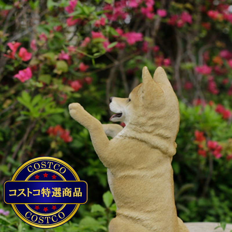 (コストコ) ウービア 手をあげる柴犬の置物H21048 - 画像 (3)