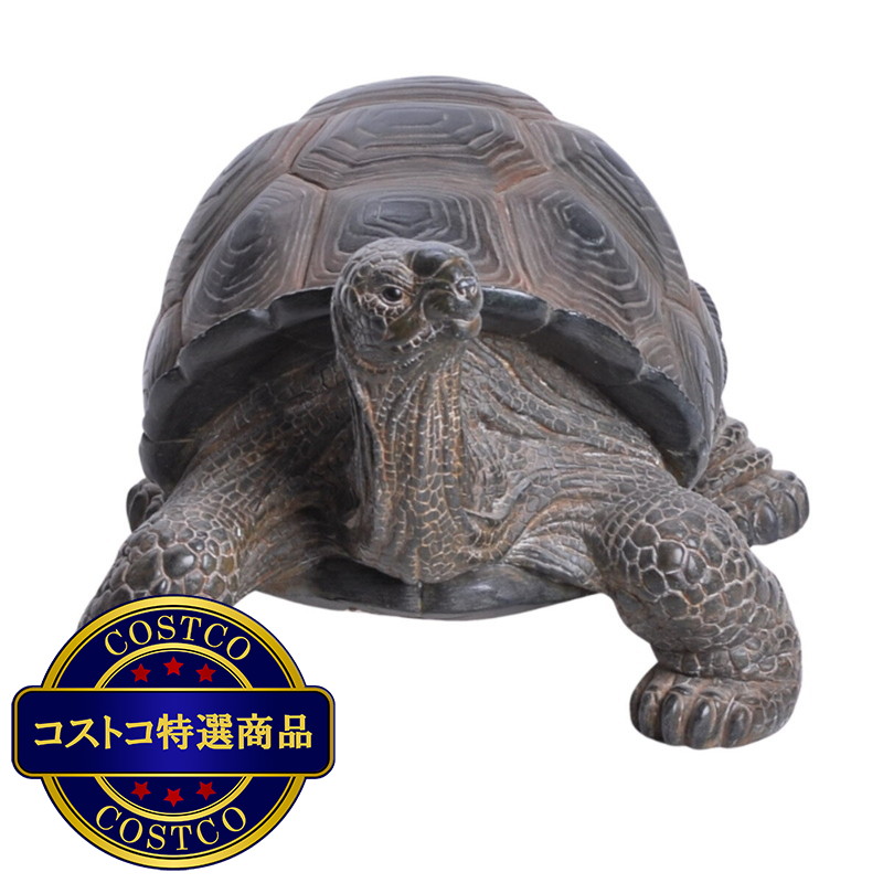 (コストコ) ウービア 頭を上げている亀の置物H11336