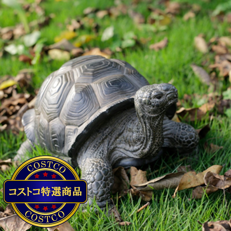 (コストコ) ウービア 頭を上げている亀の置物H11336 - 画像 (3)
