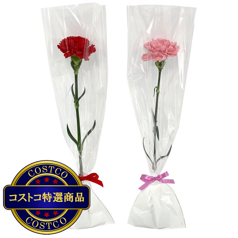 (コストコ) 一輪ギフト カーネーション 30束セット