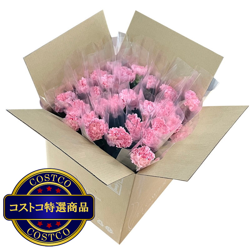 (コストコ) 一輪ギフト カーネーション 30束セット - 画像 (3)