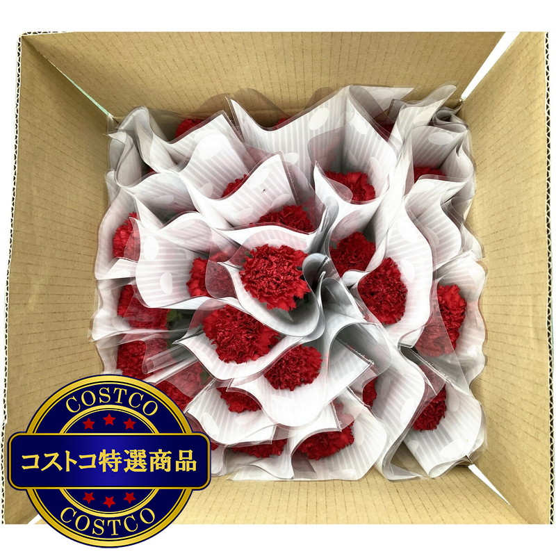 (コストコ) 一輪ギフト カーネーション 30束セット - 画像 (4)