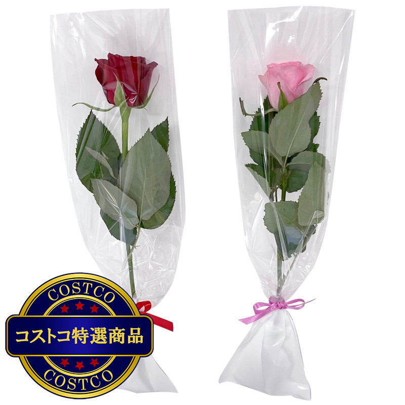 (コストコ) 一輪ギフト ローズ 30束セット