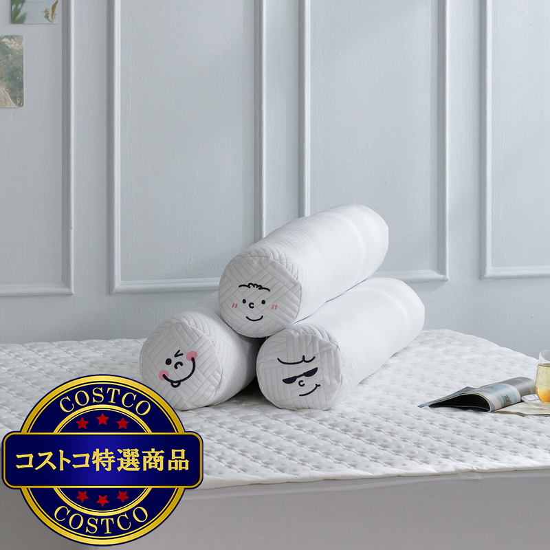 (コストコ) ALLERTECT アイスボディーピロー