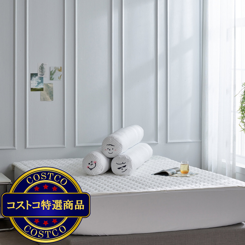 (コストコ) ALLERTECT アイスボディーピロー - 画像 (3)