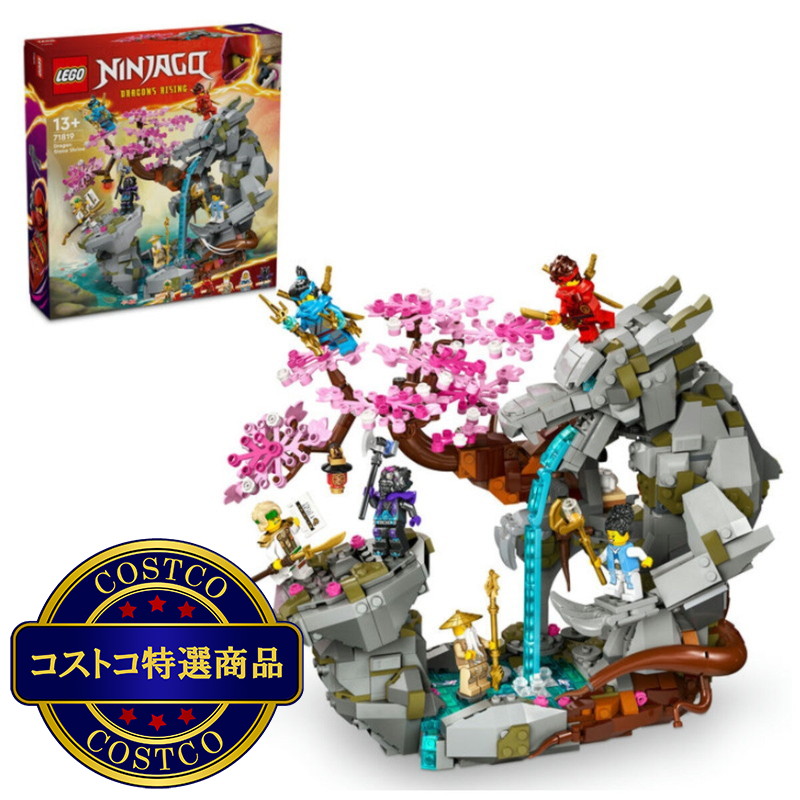 (コストコ) レゴ ドラゴンストーンの滝
