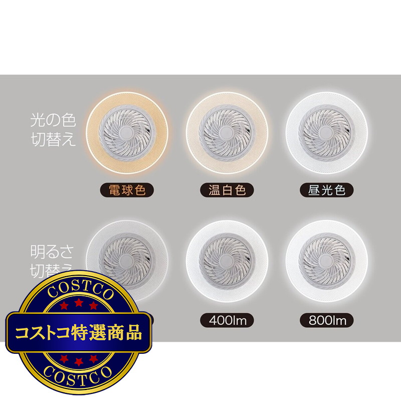 (コストコ) 大進(DAISHIN)ファンライト 800ルーメン DLF-S800WH/DLF-H800WH - 画像 (3)