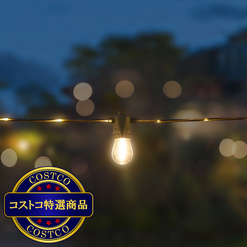 (コストコ) NEWGALE ファイヤーフライ LED ストリングライト 12m 20球 屋外用 - 画像 (2)