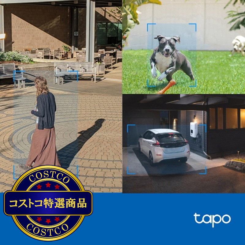 (コストコ) TP-Link (ティーピーリンク) 屋外パンチルトセキュリティWi-Fiカメラ Tapo C520WS - 画像 (3)