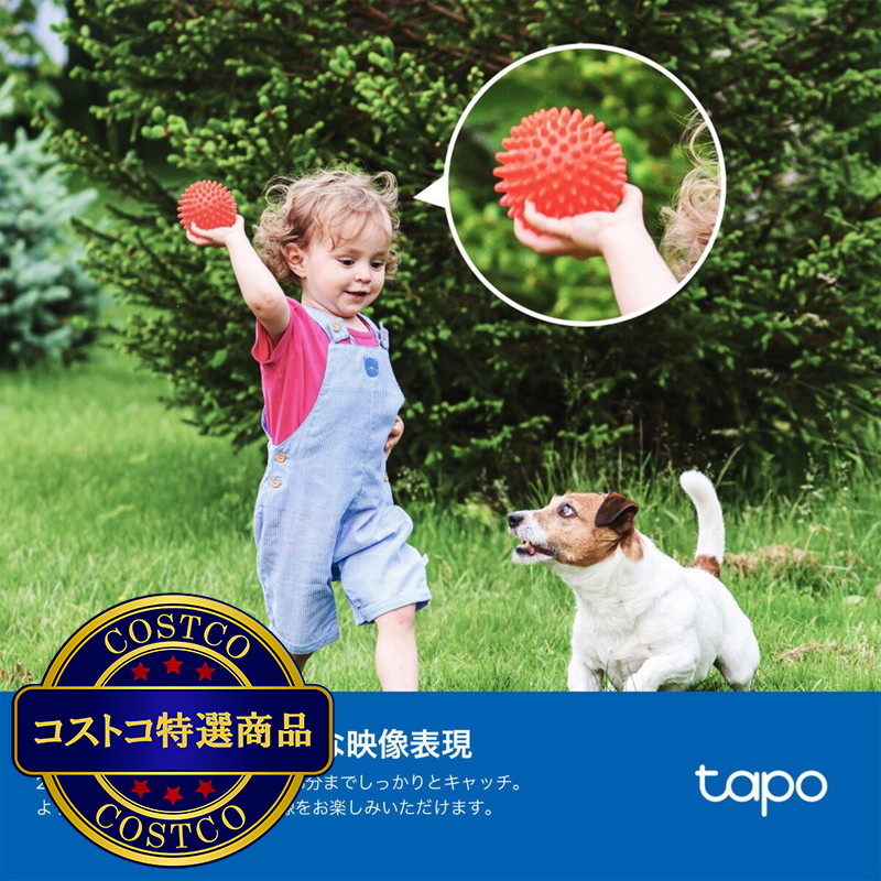 (コストコ) TP-Link (ティーピーリンク) フルワイヤレスセキュリティカメラキット C425 KIT - 画像 (3)
