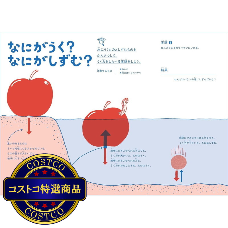 (コストコ) かいてまなべる冒険ガイド うみ! - 画像 (4)