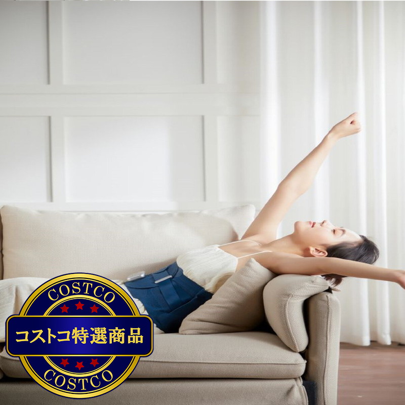 (コストコ) ニップラックス 電動腰サポーター ウエスタリラックス NP-WB23BL - 画像 (4)