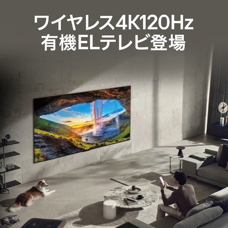 (コストコ) LG 77インチ 4K マイクロレンズアレイ搭載有機ELテレビ OLED77M3PJA - 画像 (3)