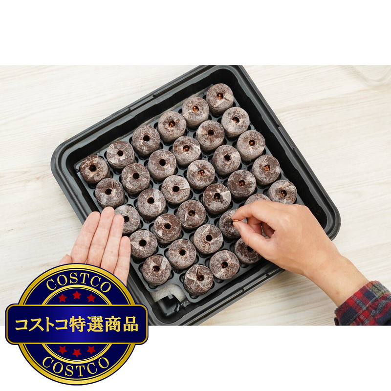 (コストコ) プラントベスト そのまま植えられる苗づくりキット 35 ココナッツペレットx2個パック - 画像 (3)