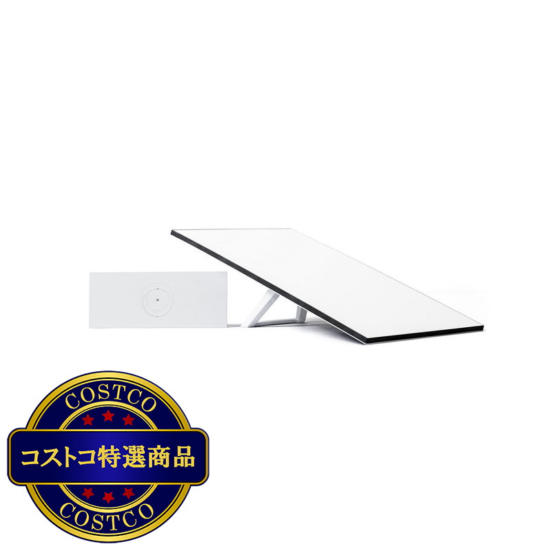 (コストコ) スターリンク スタンダードキット V4 + 通信費用8250円分のクレジット付き