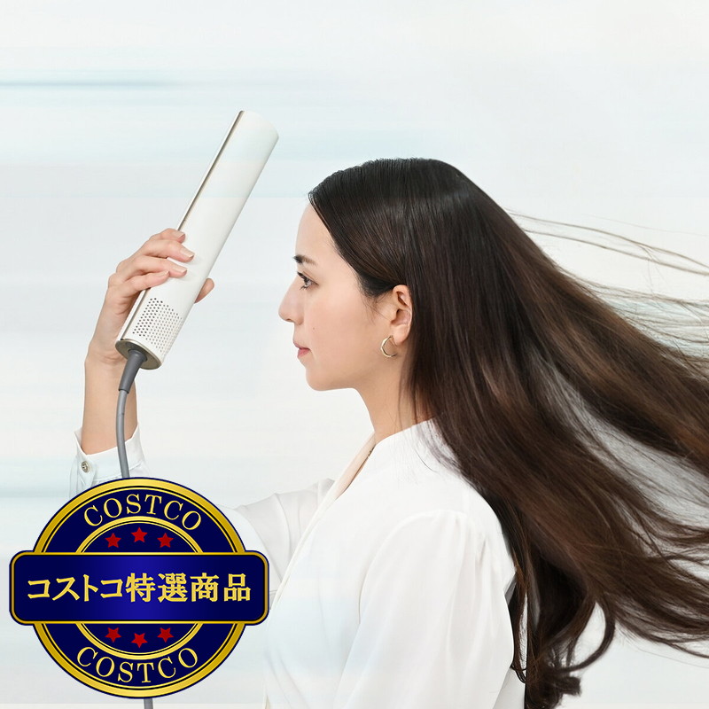 ビサラ スティック ヘアドライヤー - 画像 (4)