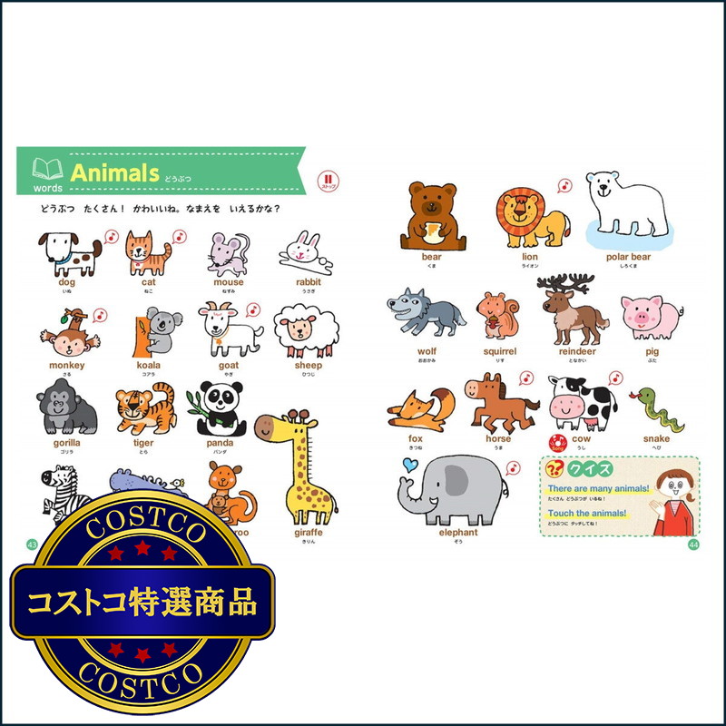 (コストコ) はじめての英語レッスン - 画像 (4)