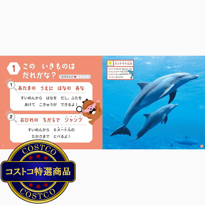 (コストコ) はって、つくれる写真ずかん 知育シールブック すいぞくかんのいきもの編 - 画像 (4)