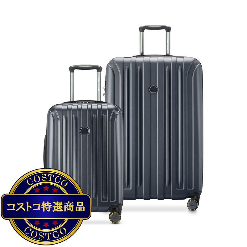 デルセー アクセレイト 2個セット