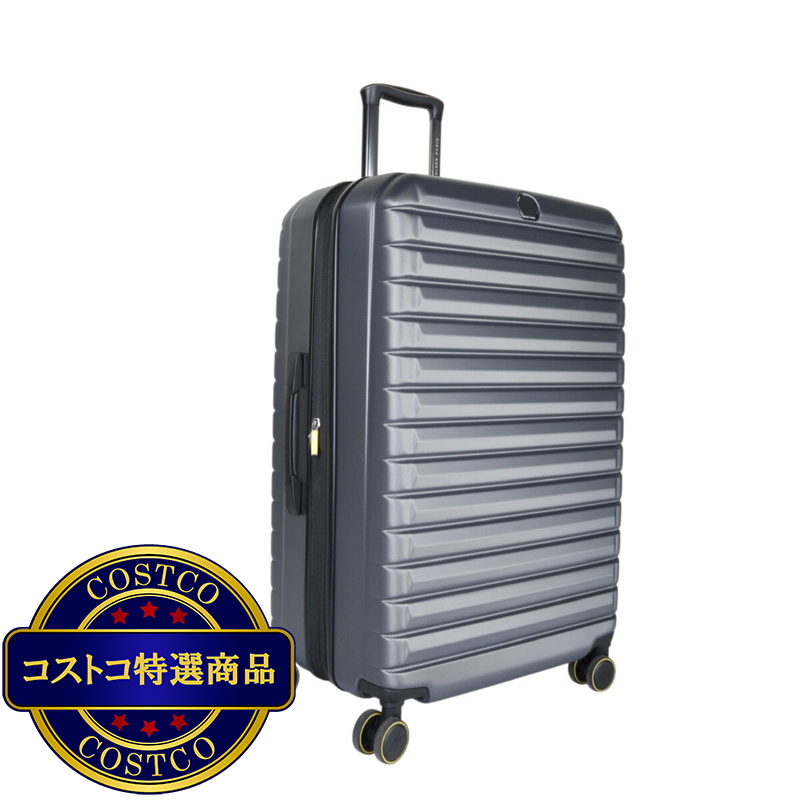 デルセー ヘリウムエッジ 2個セット 36L-101L グラファイト - 画像 (2)