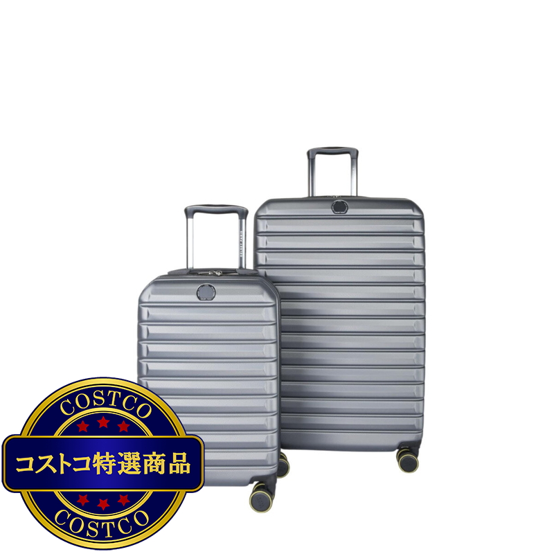 デルセー ヘリウムエッジ 2個セット 36L-101L グラファイト