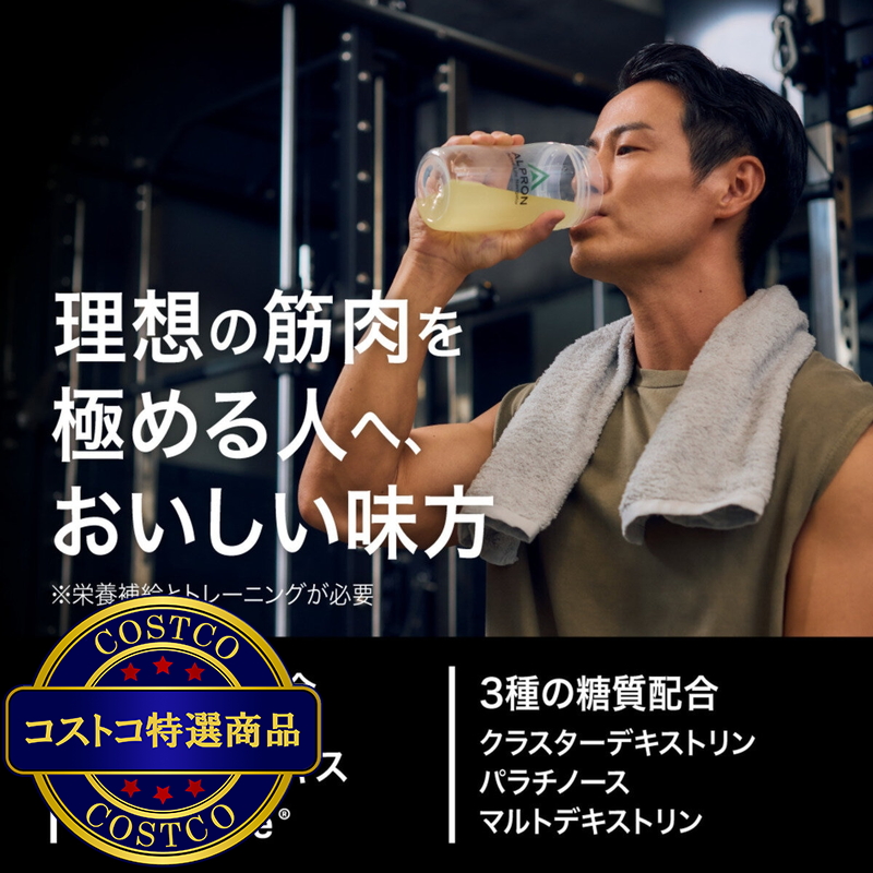 (コストコ) アルプロン プロ BCAA パイナップル 420g - 画像 (4)