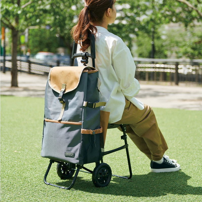 ココロ イス付レギュラーカート モリー - 画像 (4)