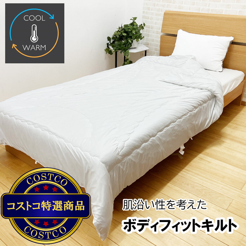 昭和西川 温度調整肌掛け布団 - 画像 (2)