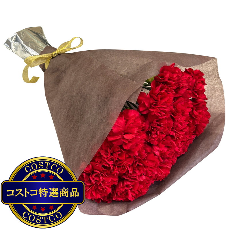 (コストコ) カーネーションの花束 24本 レッド 母の日期間配送 お届け日5月6日〜5月11日 - 画像 (2)