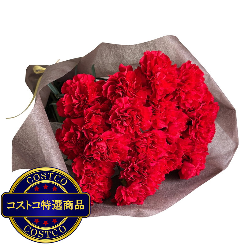 (コストコ) カーネーションの花束 24本 レッド 母の日期間配送 お届け日5月6日〜5月11日