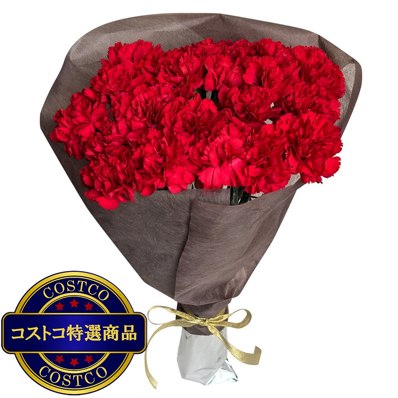 (コストコ) カーネーションの花束 24本 レッド 母の日期間配送 お届け日5月6日〜5月11日 - 画像 (3)