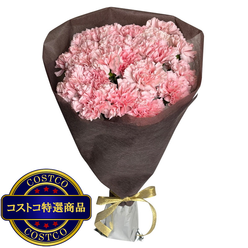 (コストコ) カーネーションの花束 24本 ライトピンク 母の日期間配送 お届け日5月6日〜5月11日 - 画像 (2)