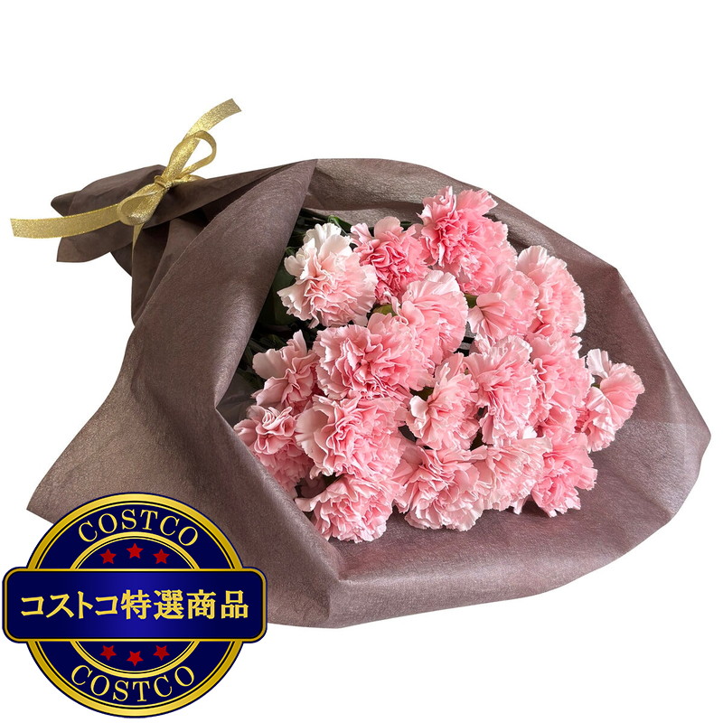 (コストコ) カーネーションの花束 24本 ライトピンク 母の日期間配送 お届け日5月6日〜5月11日