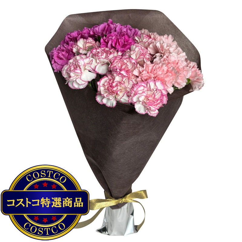 (コストコ) カーネーションの花束 24本 ピンクミックス 母の日期間配送 お届け日5月6日〜5月11日 - 画像 (2)