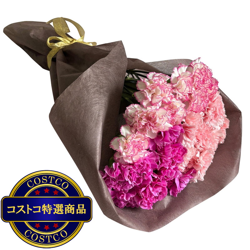 (コストコ) カーネーションの花束 24本 ピンクミックス 母の日期間配送 お届け日5月6日〜5月11日