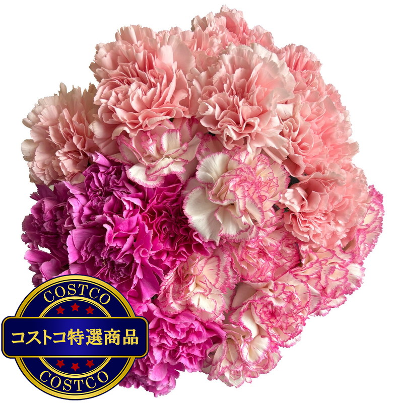 (コストコ) カーネーションの花束 24本 ピンクミックス 母の日期間配送 お届け日5月6日〜5月11日 - 画像 (3)