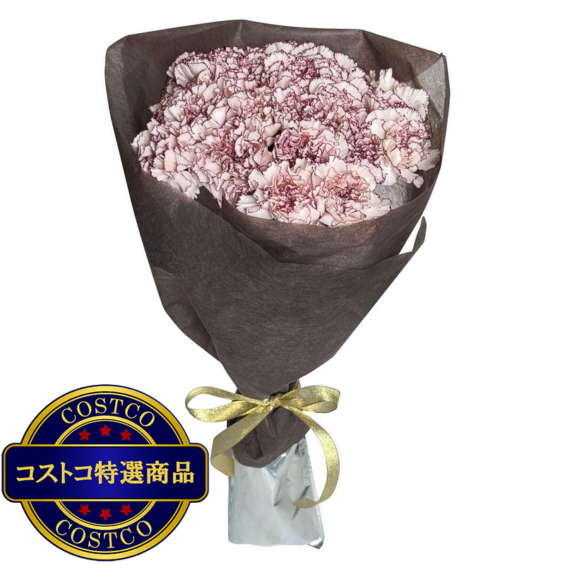 (コストコ) カーネーションの花束 24本 複色/紫白 母の日期間配送 お届け日5月6日〜5月11日 - 画像 (2)