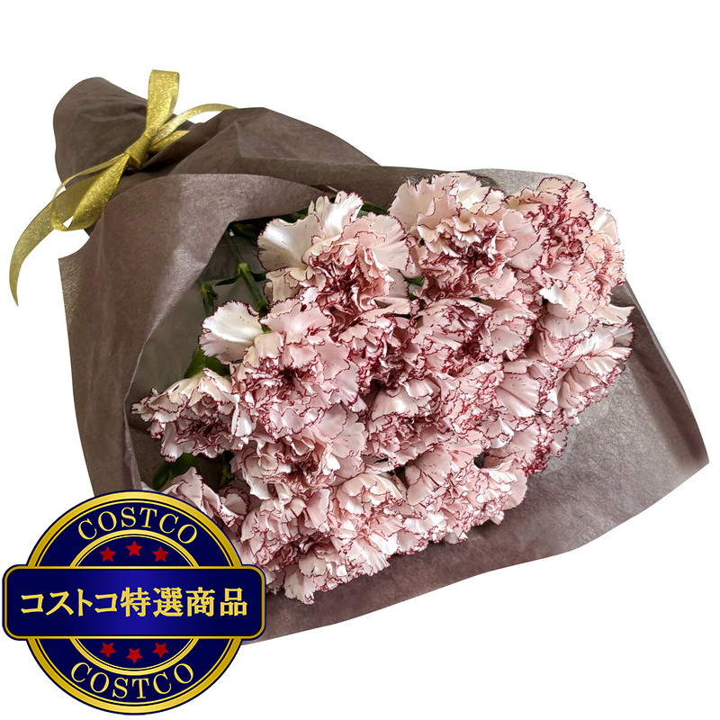 (コストコ) カーネーションの花束 24本 複色/紫白 母の日期間配送 お届け日5月6日〜5月11日