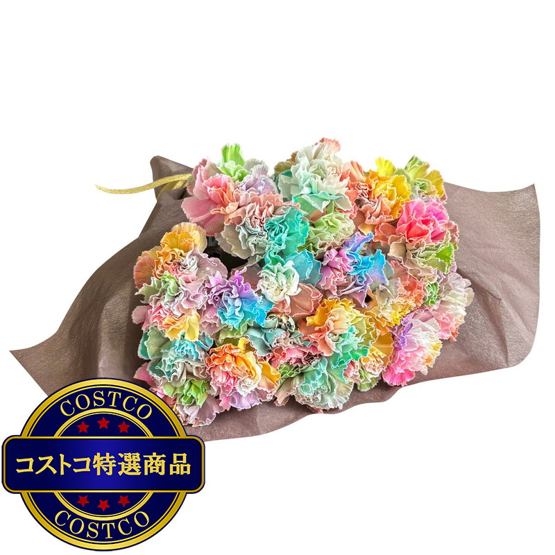 (コストコ) レインボーカーネーションの花束 24本 母の日期間配送 お届け日5月6日〜5月11日 - 画像 (2)