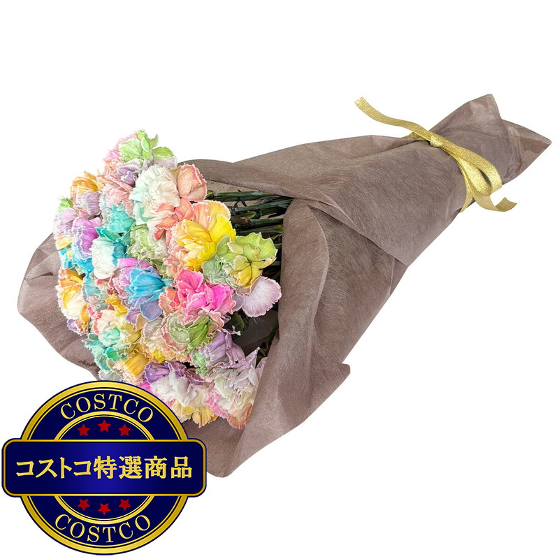 (コストコ) レインボーカーネーションの花束 24本 母の日期間配送 お届け日5月6日〜5月11日