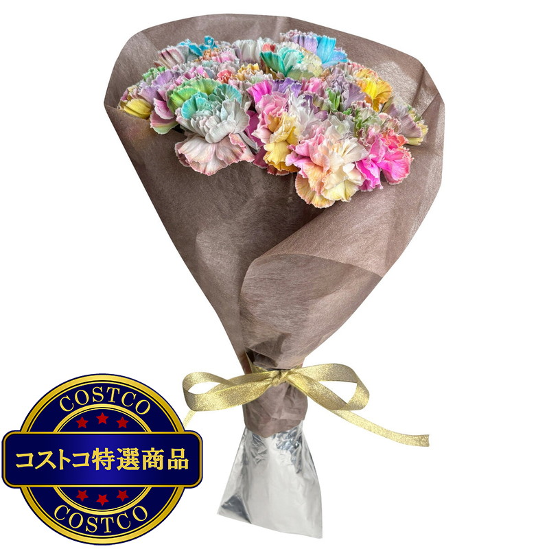 (コストコ) レインボーカーネーションの花束 24本 母の日期間配送 お届け日5月6日〜5月11日 - 画像 (3)