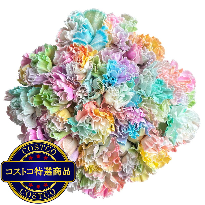 (コストコ) レインボーカーネーションの花束 24本 母の日期間配送 お届け日5月6日〜5月11日 - 画像 (4)