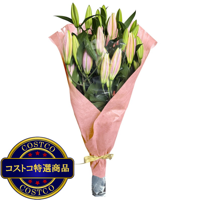 (コストコ) オリエンタル百合の花束 10本 ピンク 母の日期間配送 お届け日5月6日〜5月11日 - 画像 (2)