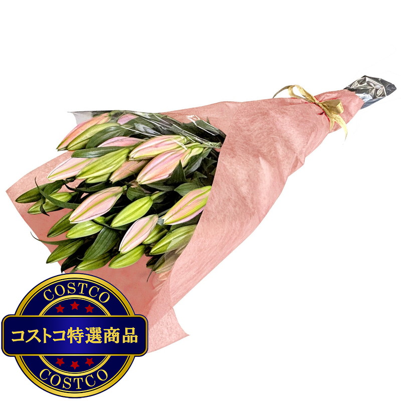 (コストコ) オリエンタル百合の花束 10本 ピンク 母の日期間配送 お届け日5月6日〜5月11日