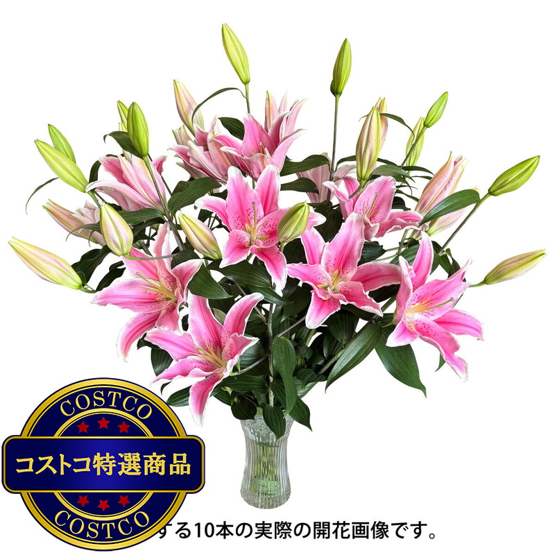 (コストコ) オリエンタル百合の花束 10本 ピンク 母の日期間配送 お届け日5月6日〜5月11日 - 画像 (3)