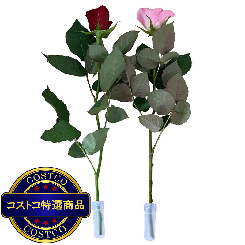 (コストコ) 一輪ギフト ローズ 30束セット レッド&ピンクミックス - 画像 (2)